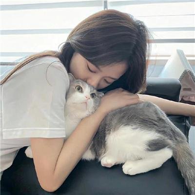 爱恋安迪·哈迪